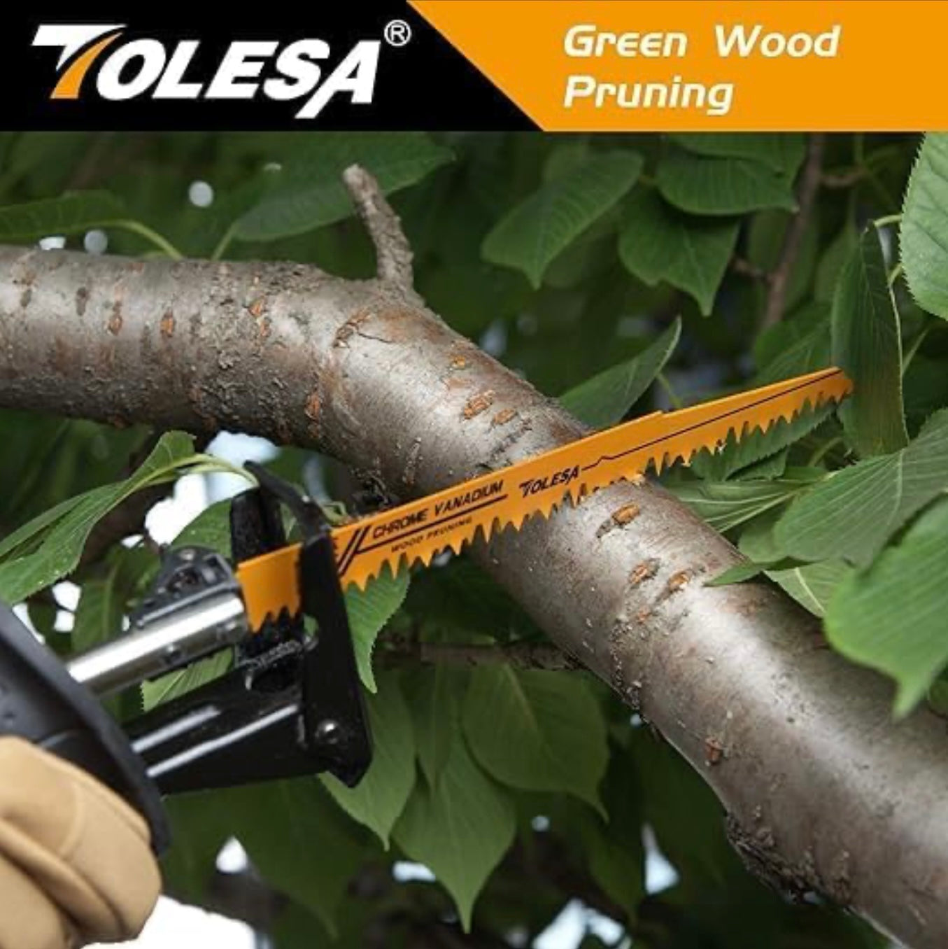 TOLESA 10PC 6” + 9” Metal/Woodcutting 5, 6, 14TPI Reciprocating Saw Blades